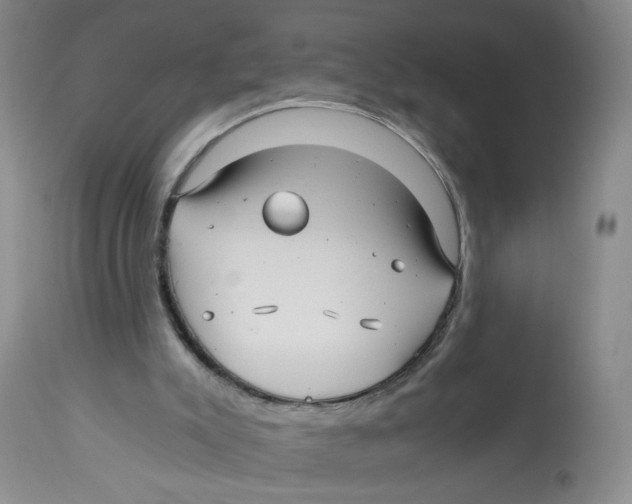 X0000113140007200910021450