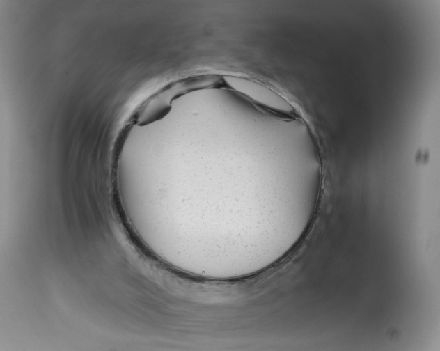 X0000113140008200910021450