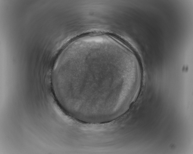 X0000113140009200910021450