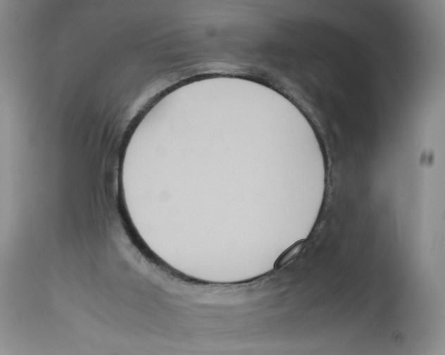 X0000113140011200910021450
