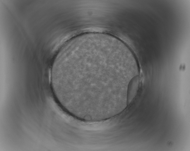 X0000113140013200910021450