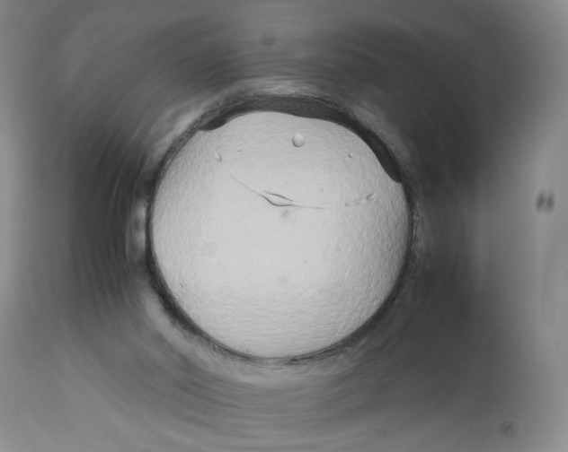 X0000113140014200910021450