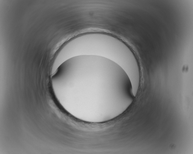 X0000113140015200910021450