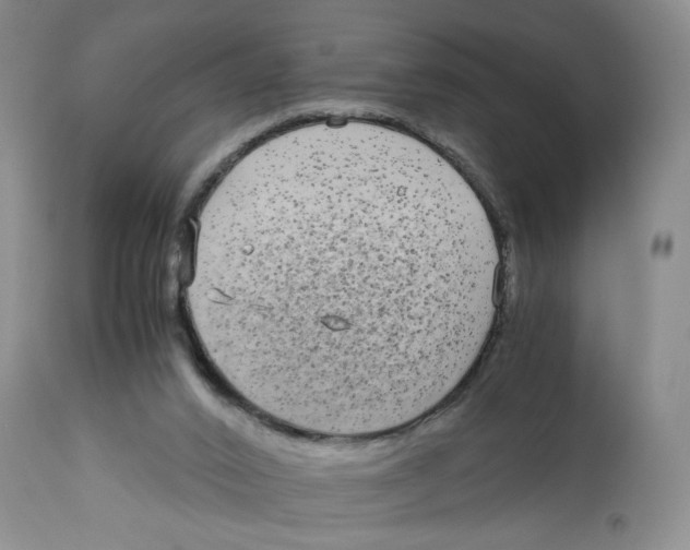 X0000113140016200910021450