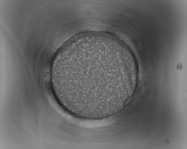X0000113140017200910021450