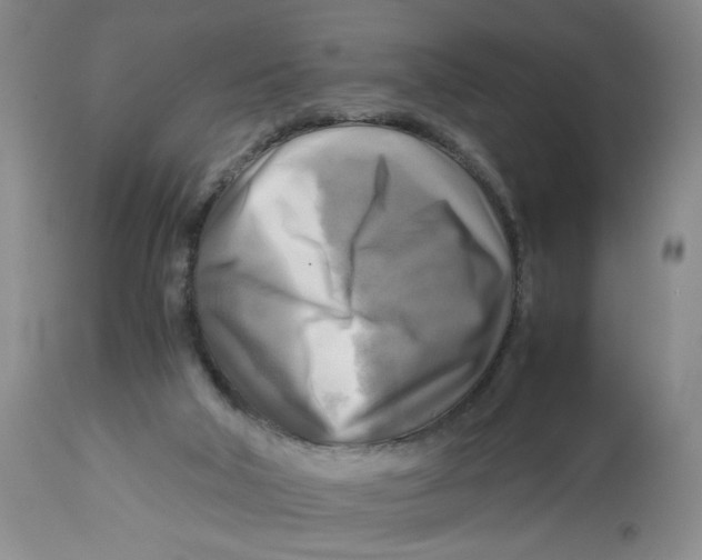 X0000113140018200910021450