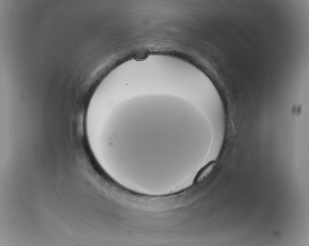 X0000113140019200910021450