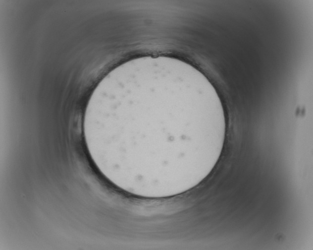 X0000113140021200910021450