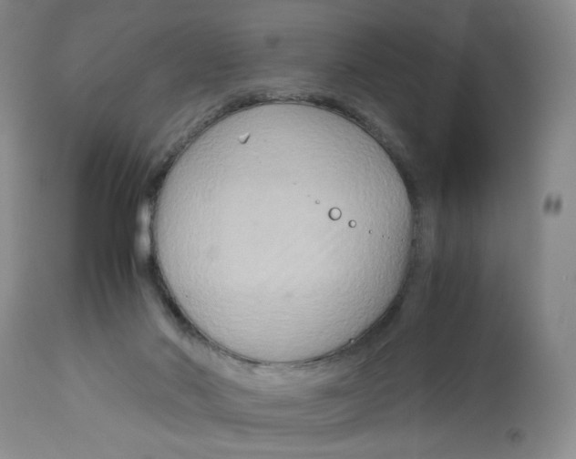 X0000113140022200910021450