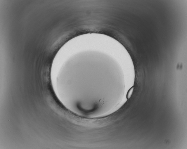 X0000113140023200910021450