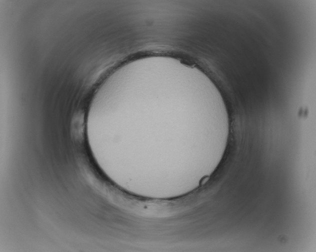 X0000113140024200910021450