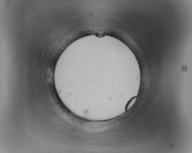 X0000113140025200910021450