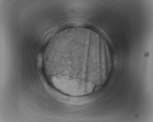X0000113140026200910021450