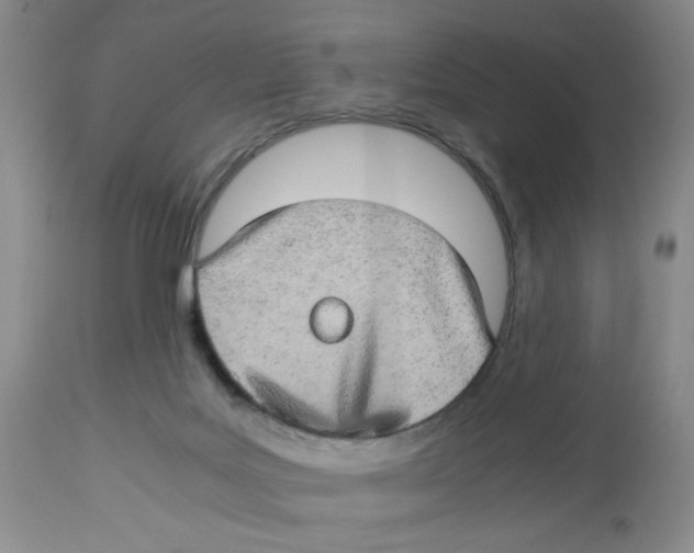 X0000113140027200910021450