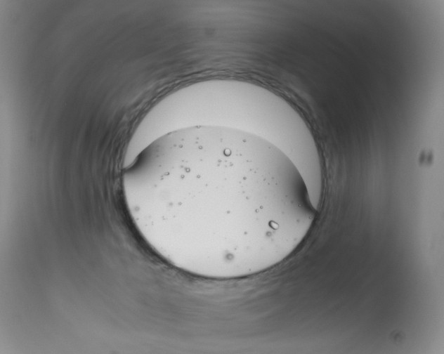 X0000113140029200910021450