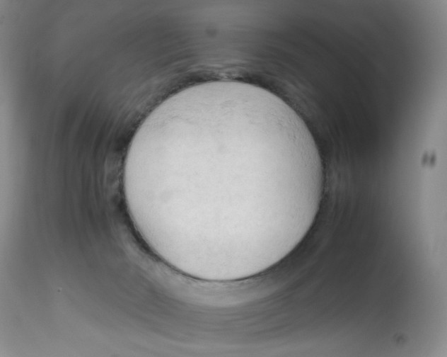 X0000113140030200910021450