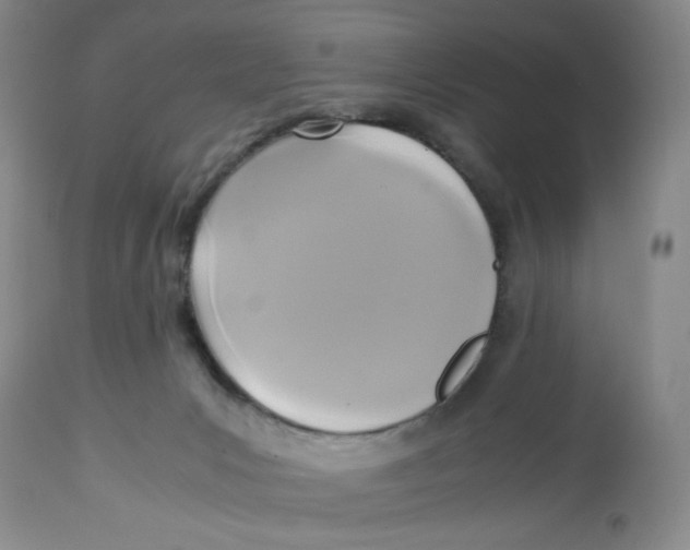 X0000113140031200910021450