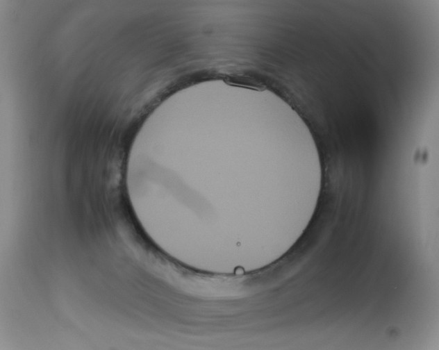 X0000113140032200910021450