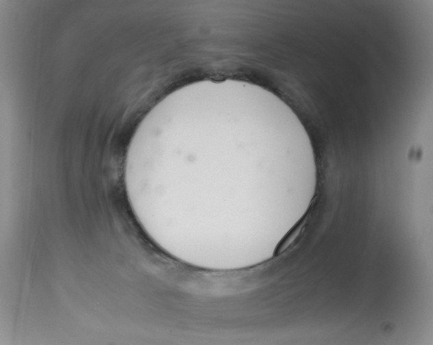 X0000113140033200910021449