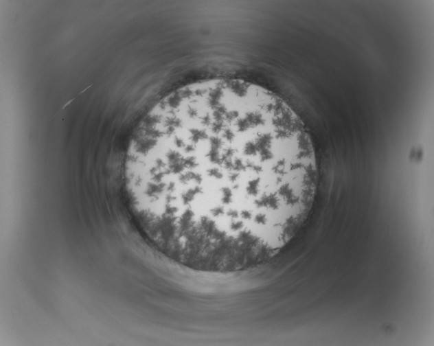 X0000113140034200910021449