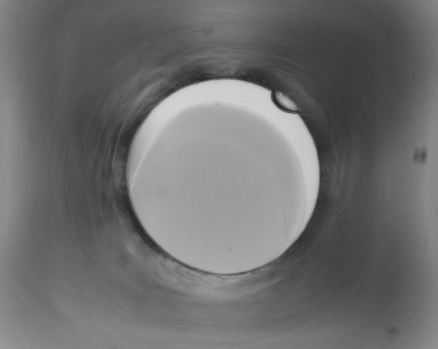 X0000113140035200910021449