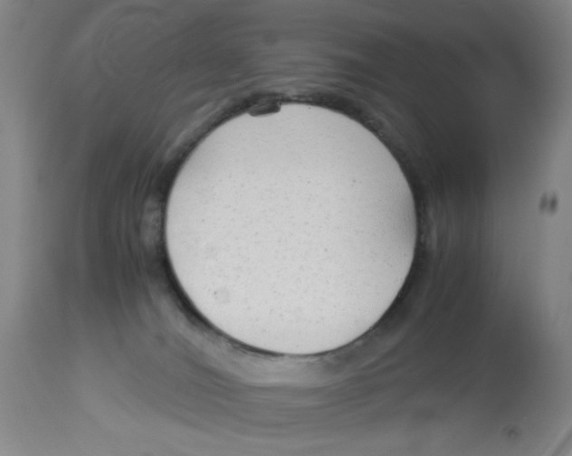 X0000113140036200910021449