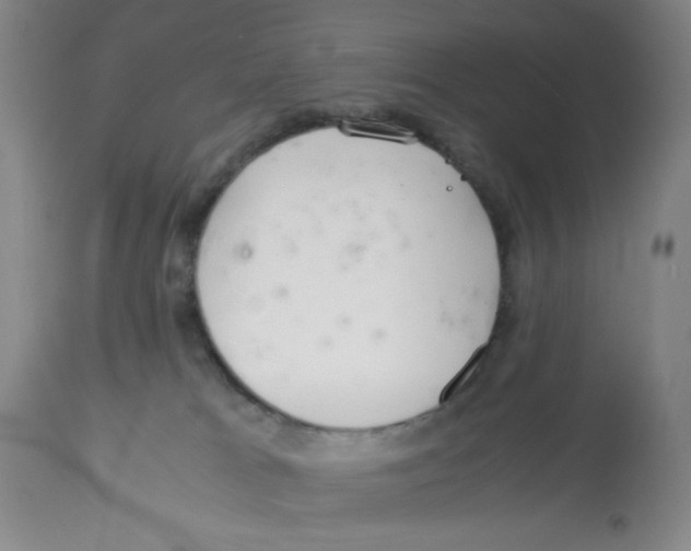 X0000113140037200910021449