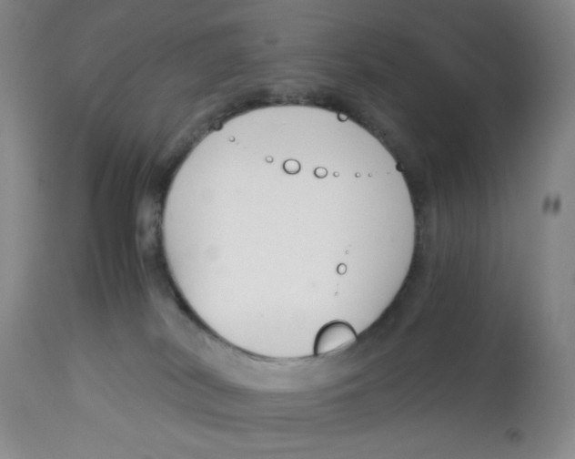 X0000113140038200910021449