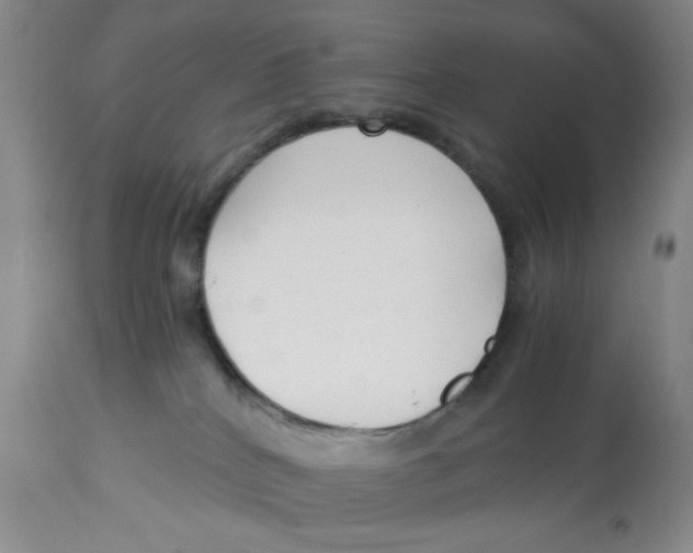 X0000113140040200910021449