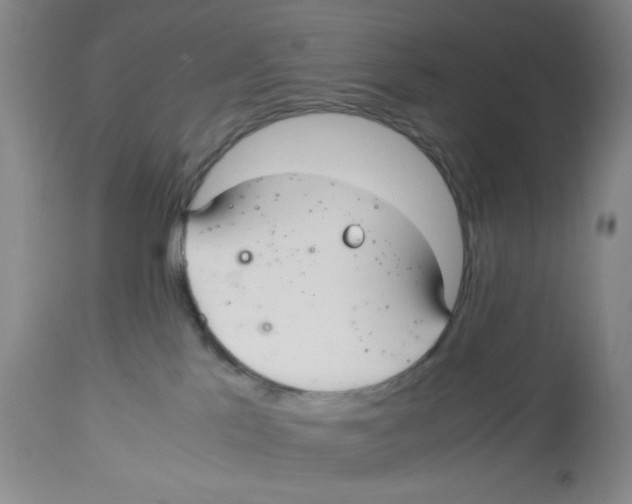 X0000113140041200910021449