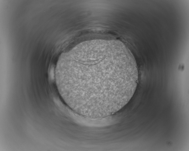 X0000113140042200910021449