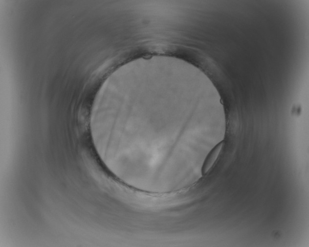 X0000113140043200910021449
