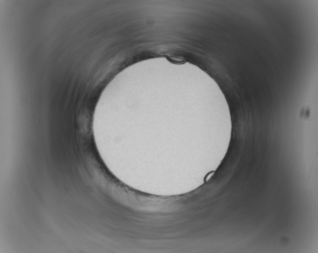 X0000113140044200910021449
