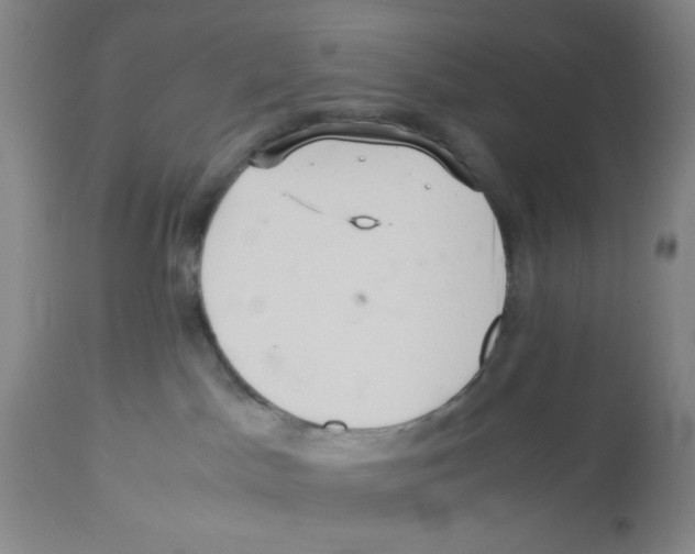 X0000113140045200910021449