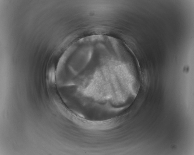 X0000113140046200910021449