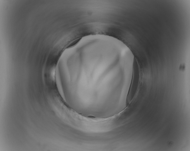 X0000113140047200910021449