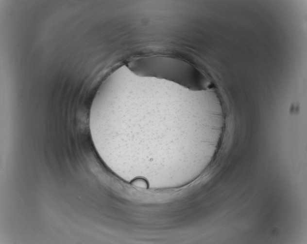 X0000113140048200910021449