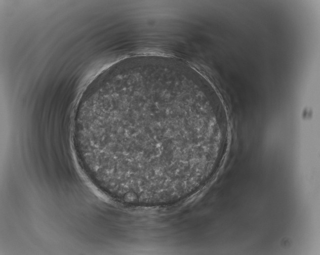 X0000113140049200910021449