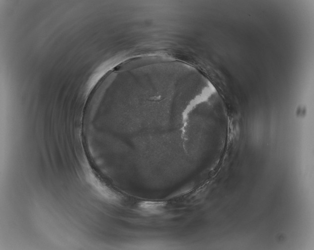 X0000113140051200910021449