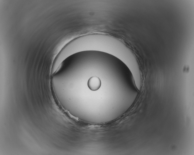 X0000113140052200910021449
