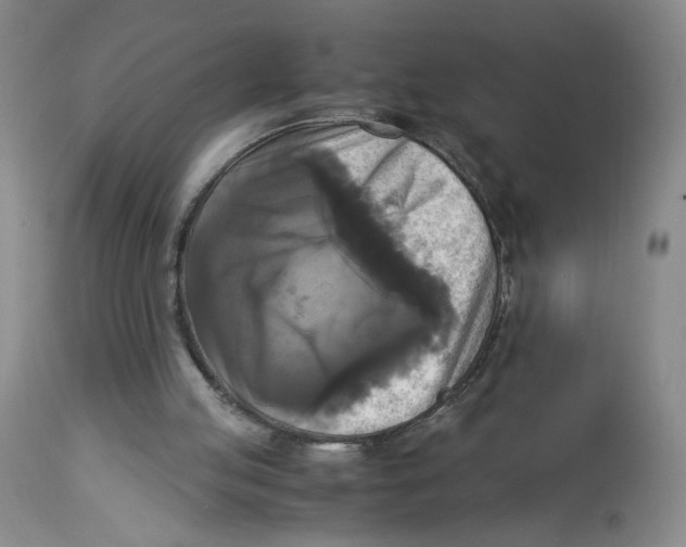 X0000113140053200910021449
