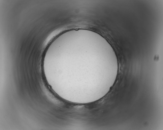 X0000113140054200910021449