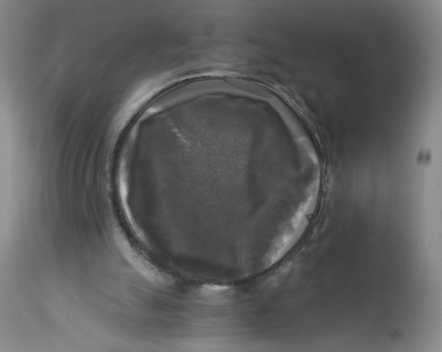 X0000113140055200910021449