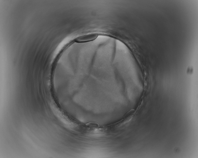X0000113140056200910021449