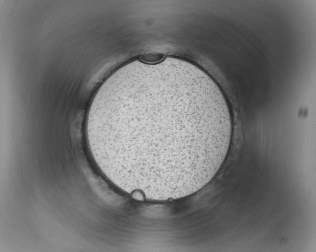 X0000113140058200910021449