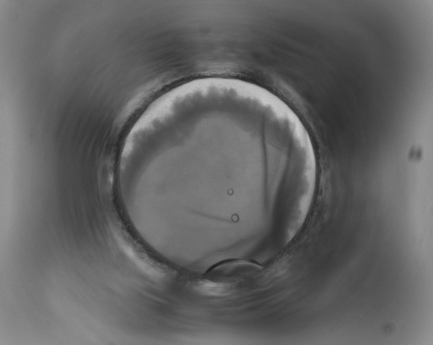 X0000113140059200910021449
