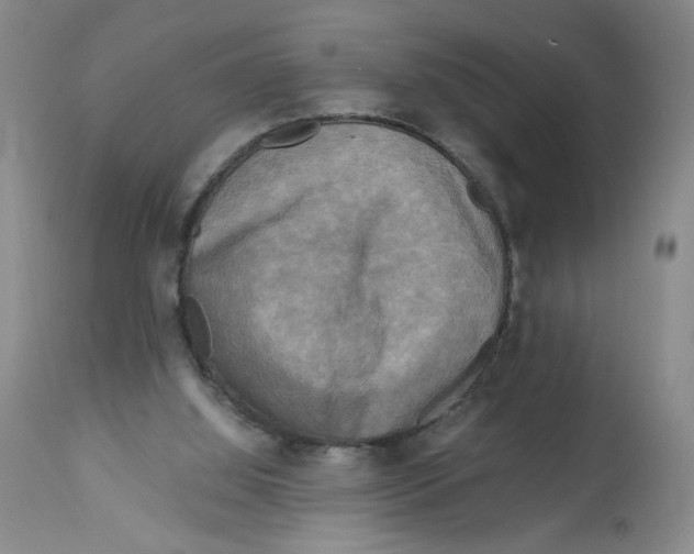 X0000113140060200910021449