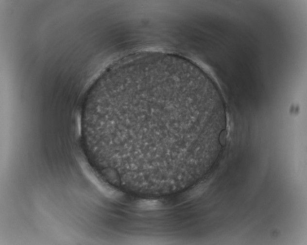 X0000113140061200910021449