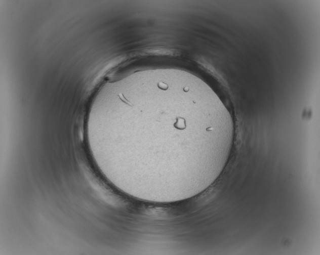 X0000113140062200910021449