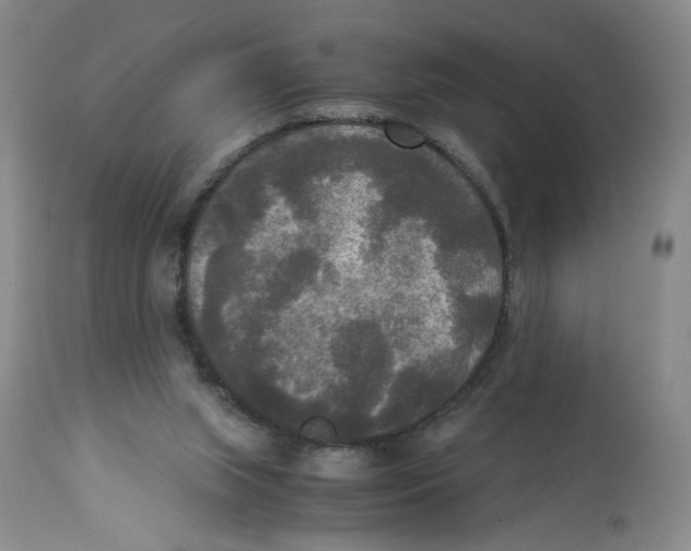 X0000113140063200910021449